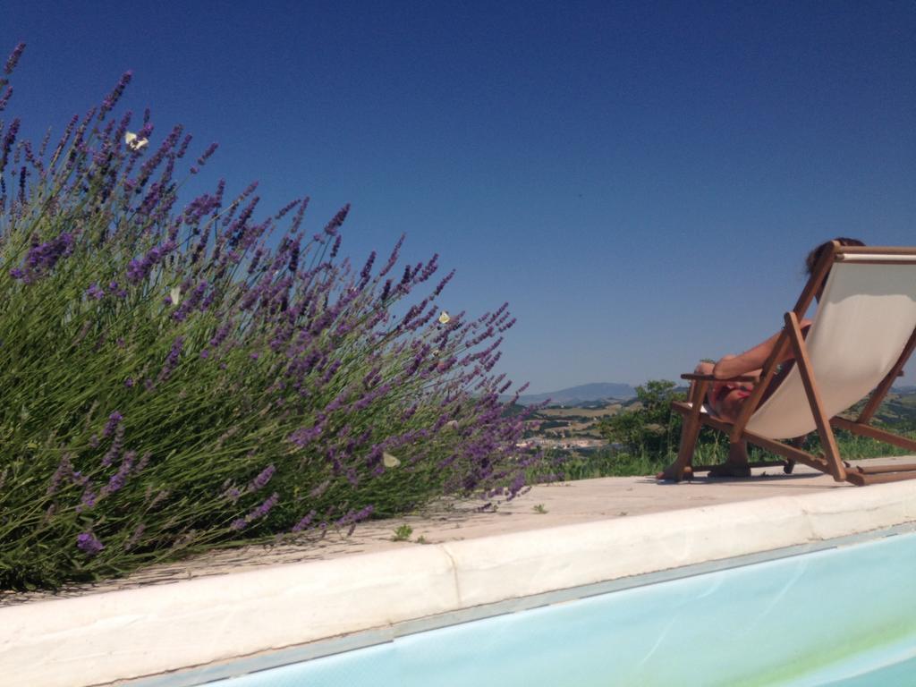 Agriturismo Il Fienile Di Ca Battista Cagli Buitenkant foto