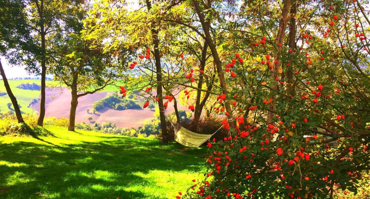 Agriturismo Il Fienile Di Ca Battista Cagli Buitenkant foto
