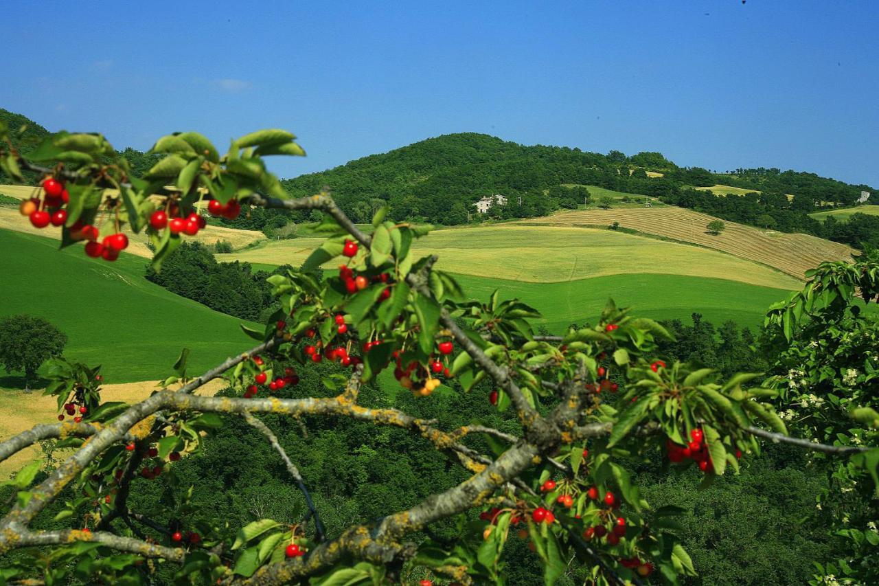 Agriturismo Il Fienile Di Ca Battista Cagli Buitenkant foto