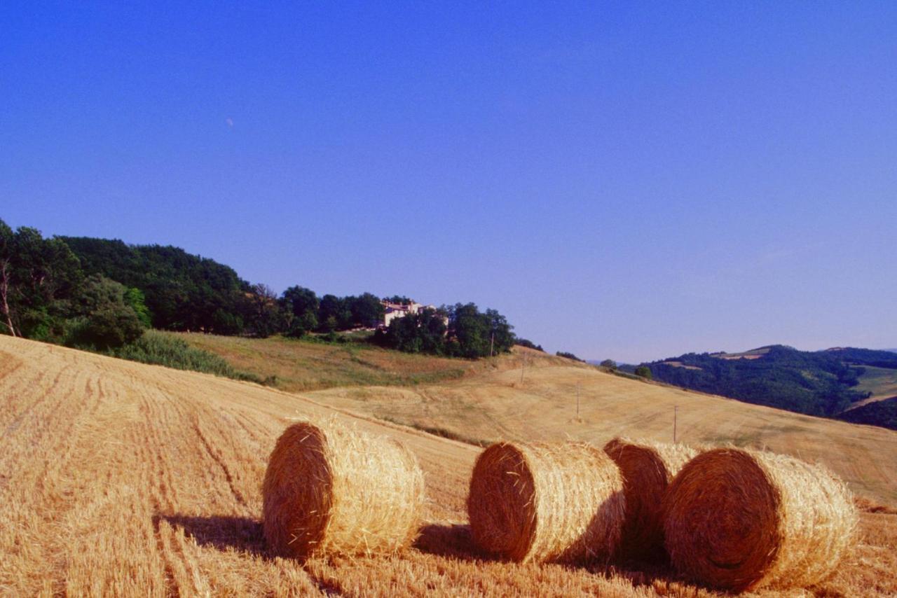 Agriturismo Il Fienile Di Ca Battista Cagli Buitenkant foto